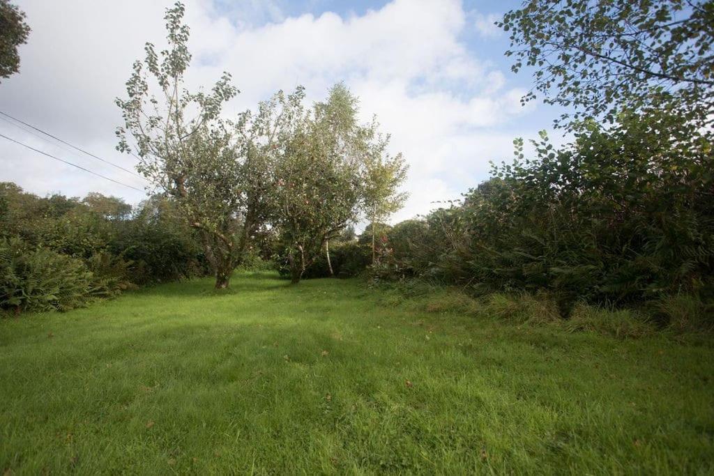 Perfect Cottage Retreat Near The Brecon Beacons Llanwrda Exterior foto